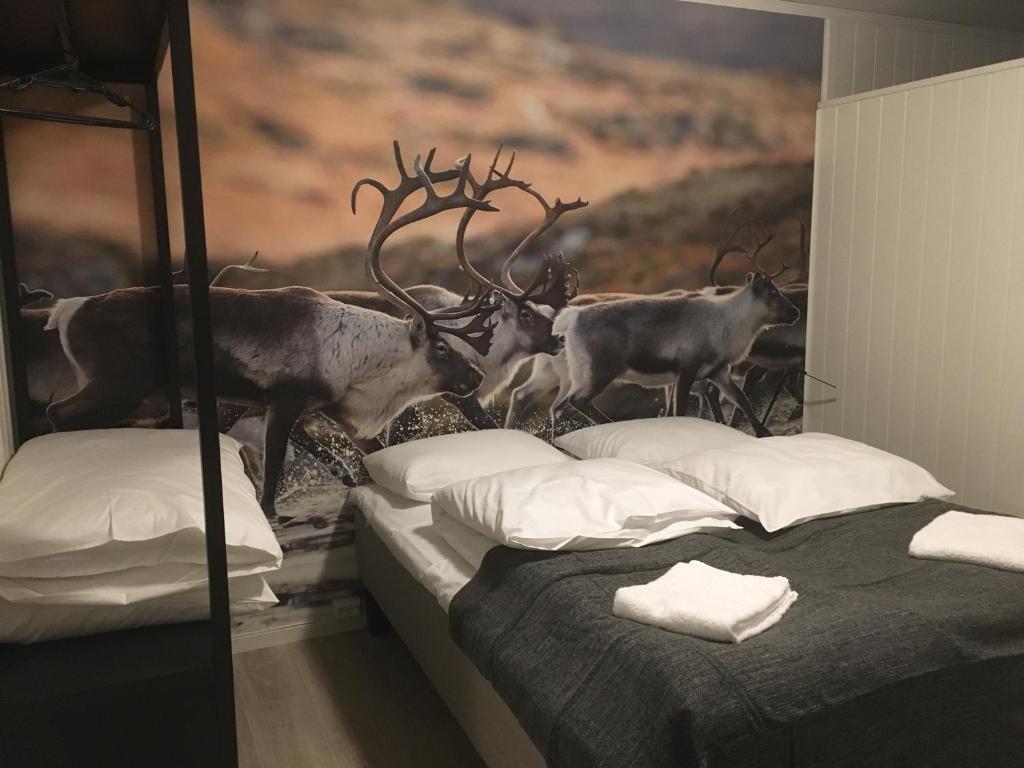Furuhaugli Hotel room 5